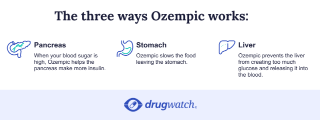 Three ways ozempic works