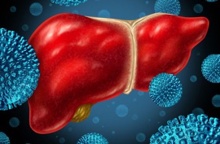 Liver Fighting Off Infection