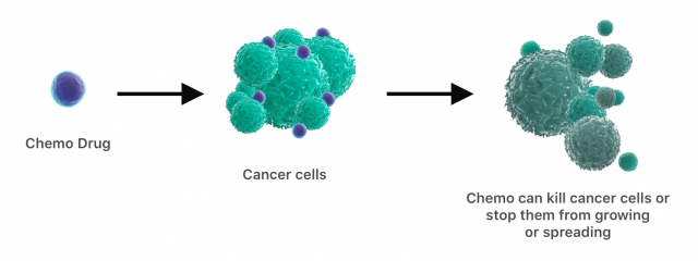 Diagram showing chemo drugs attacking cancer cells.