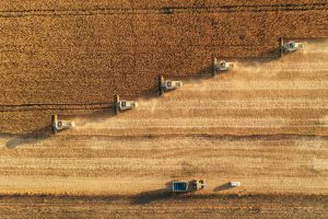 Paraquat