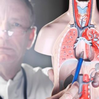 Doctor observing esophagus