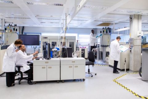scientist conducting SGLT2 study in lab