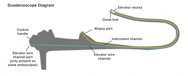 Duodenscope diagram