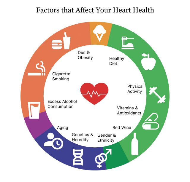 Factors that Affect Your Heart Health