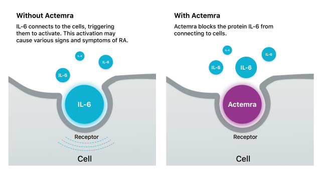 How Actemra Works Illustration