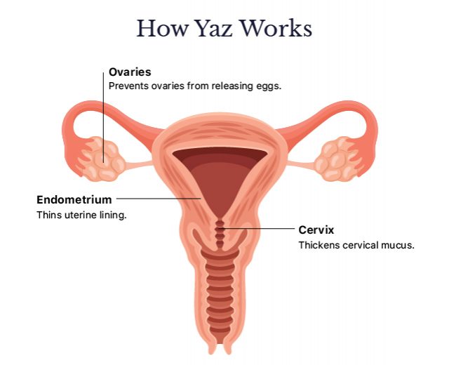 Diagram of how Yaz prevents pregnancy