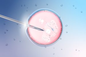 Petri dish with egg and ICSI pipette during IVF fertilization in a fertility lab.