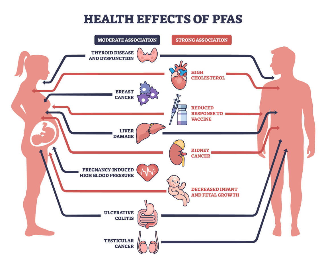 Pfas Inhalation Health Effects of PFAS Exposure