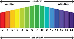 scale of ph value for acid and alkaline solutions