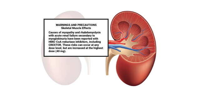 Renal Kidney Warning