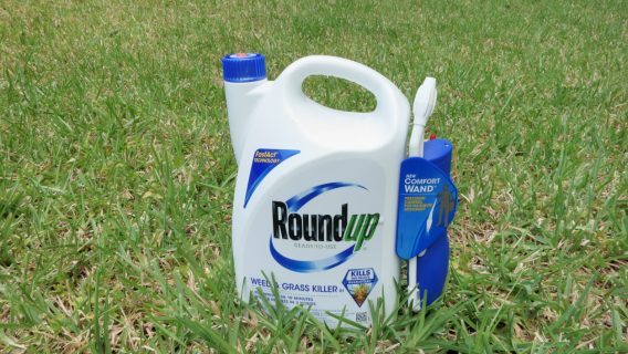 Roundup