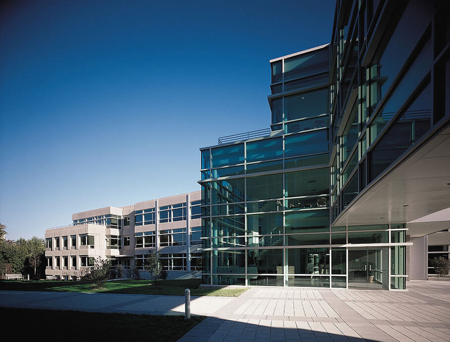 Bayer Drug Manufacturer’s History, Problematic Drugs, & Lawsuits