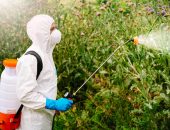 Man in suit spraying roundup weed killer
