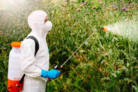 Man in suit spraying roundup weed killer