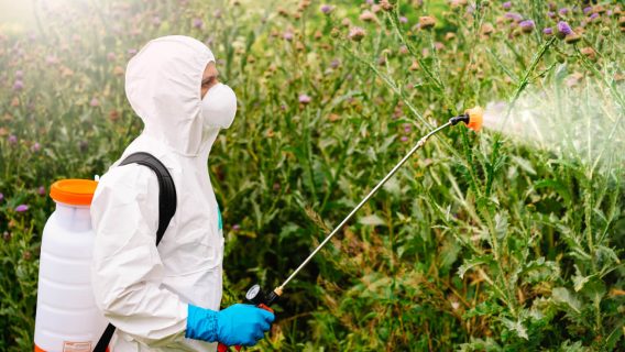 Man in suit spraying roundup weed killer