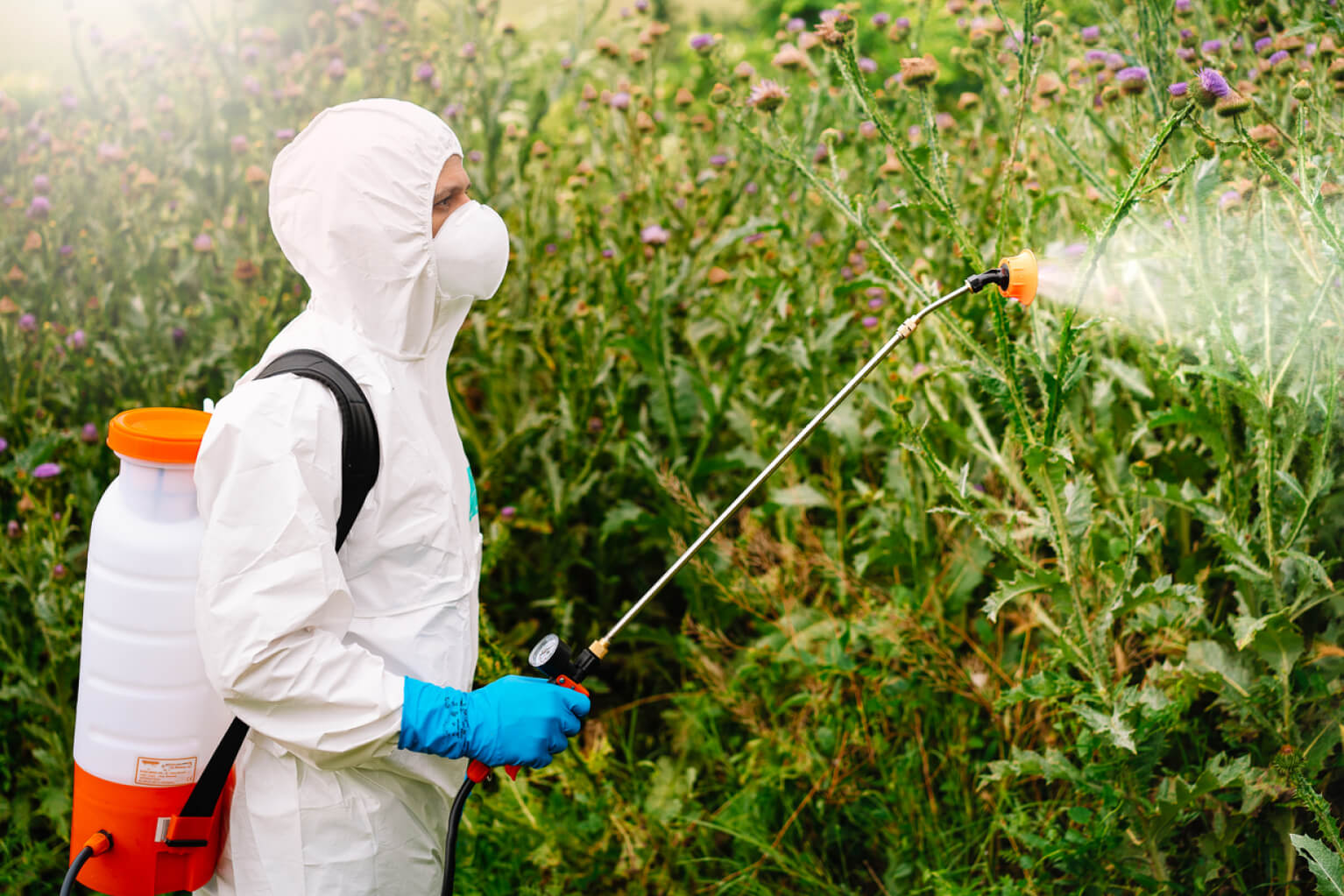 Man in suit spraying roundup weed killer