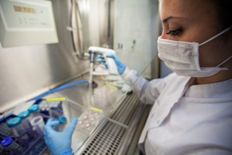 Woman Inspecting Samples in Lab