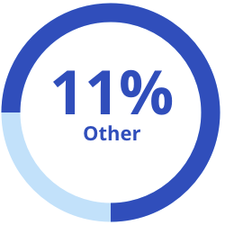 11 Percent: Other