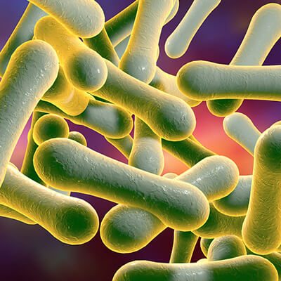 Microscopic view of diphtheria