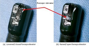 Olympus duodenoscope model TJF-Q180V