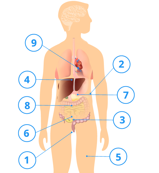 Signs and symptoms of sprue-like enteropathy