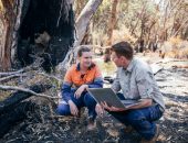 checking chemicals in water