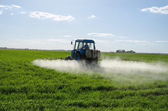Farmer spraying weed killer with tractor