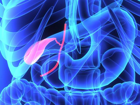 Gallbladder Diagram