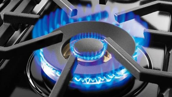 Gas stove flame