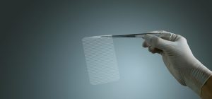 Hernia Mesh — Covidien