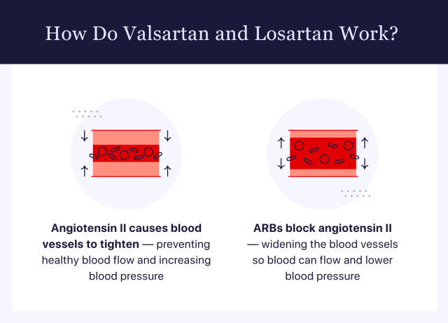 How Valsartan and Losartan work