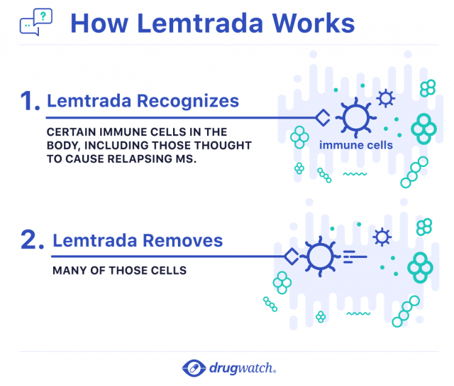 Infographic that illustrates how Lemtrada works