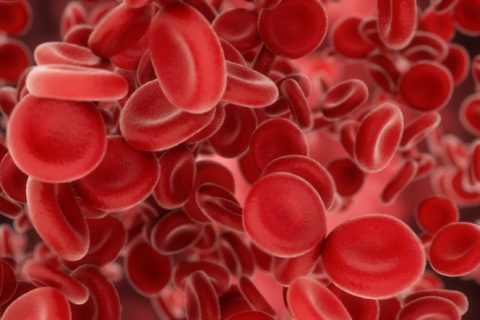 Illustration of red blood cells