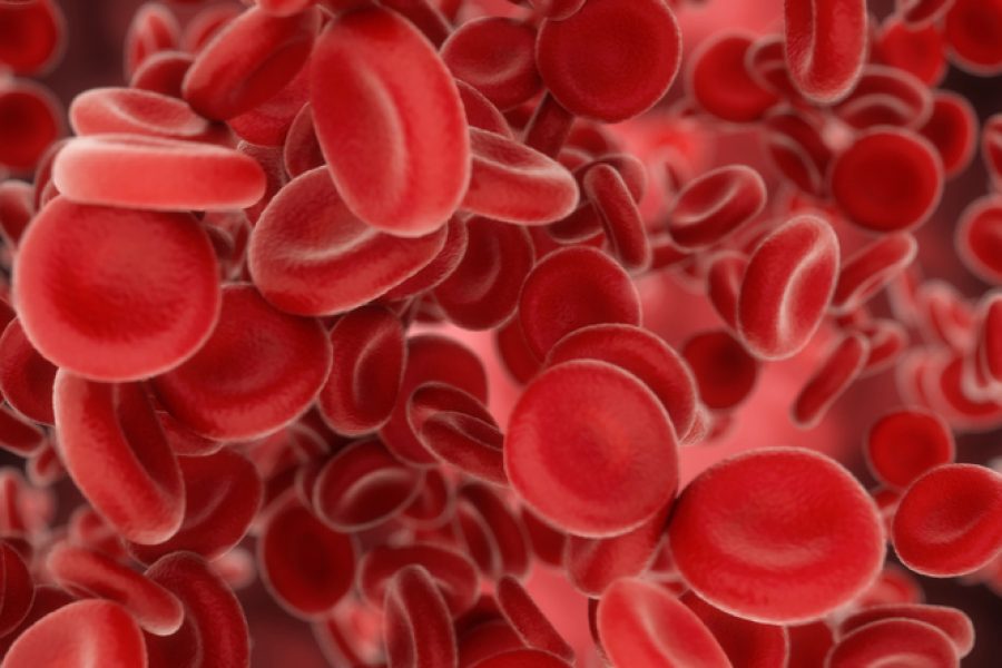 Illustration of red blood cells