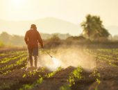 Farmer spraying crops