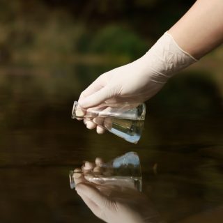 A researcher taking a sample of lake water.