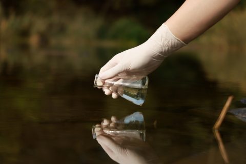 A researcher taking a sample of lake water.
