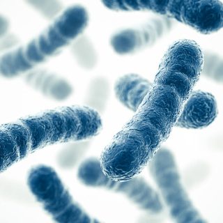 graphic of bacteria
