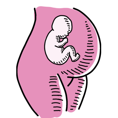 Illustration of pregnant woman with fetus inside