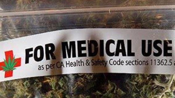 Marijuana for Medicinal Use