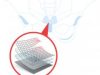 Transvaginal Mesh Implant and pelvic bone