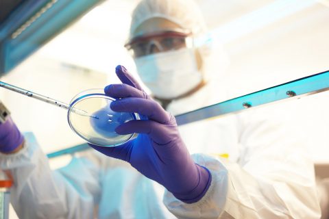 Scientist in a clean room