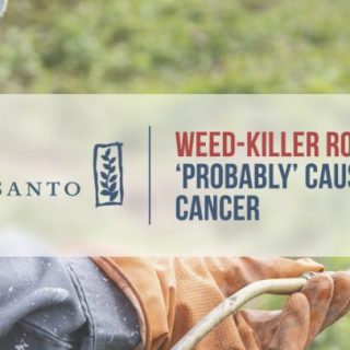 Gloved hand sprays Weed Killer