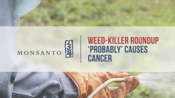 Gloved hand sprays Weed Killer