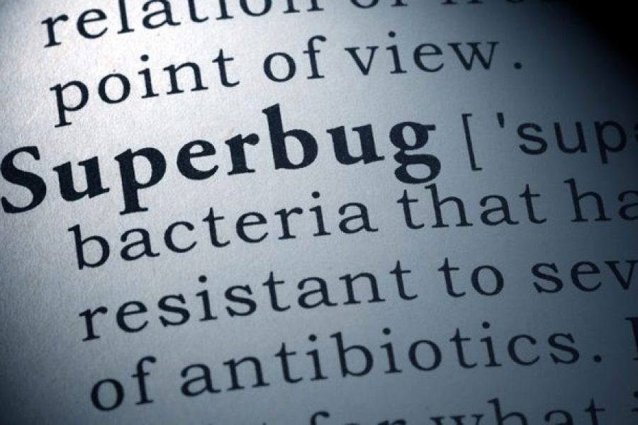 Superbug definition
