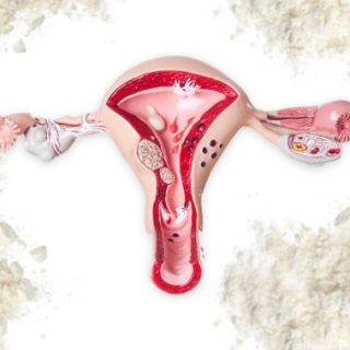 ovarian organ diagram and talc powder