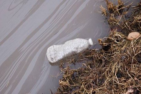 Plastic water bottle floating in water