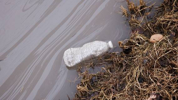 Plastic water bottle floating in water