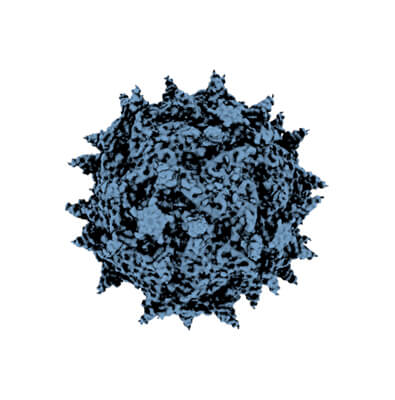 polio Microscopic view of Polio