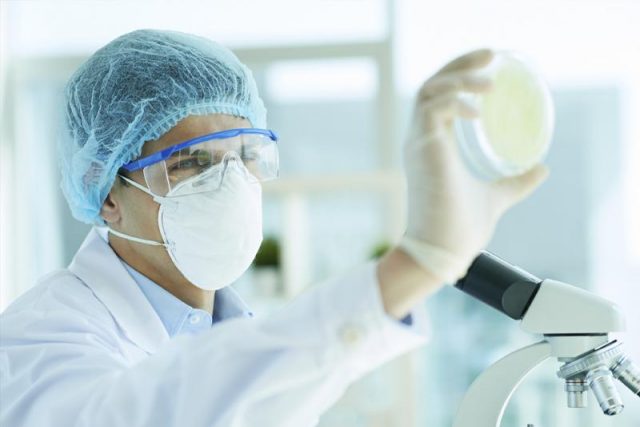 masked lab tech holds up a petri dish in front of a microscope